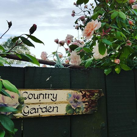 Dragonflycottagebnb Grovetown Esterno foto