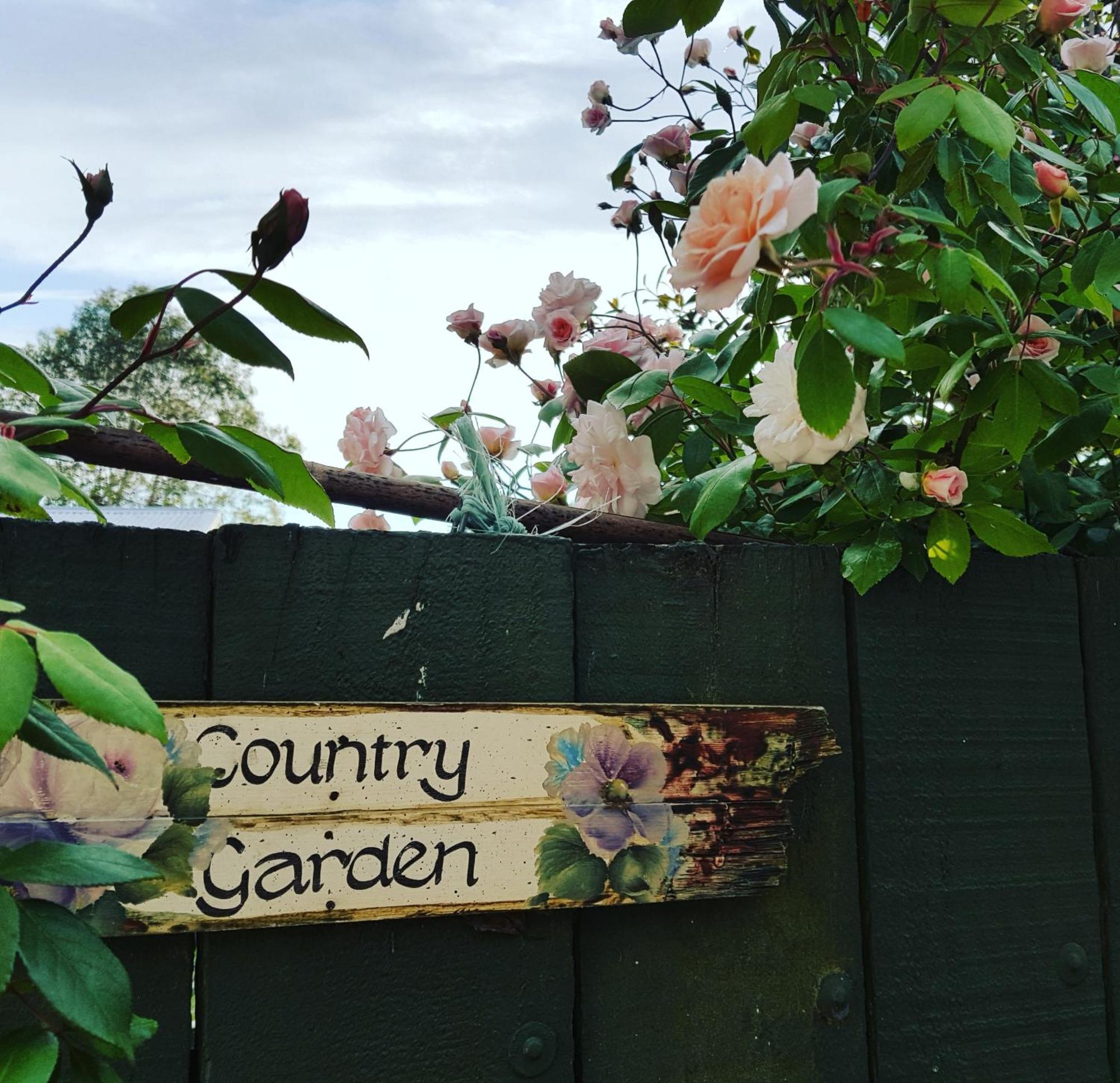 Dragonflycottagebnb Grovetown Esterno foto